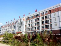 2020年陕西电子科技铁路职业学院排名