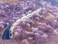 云南2020年铁路学校学什么最好